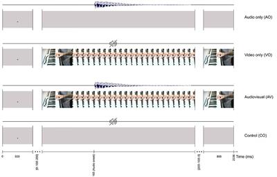 Considerations in Audio-Visual Interaction Models: An ERP Study of Music Perception by Musicians and Non-musicians